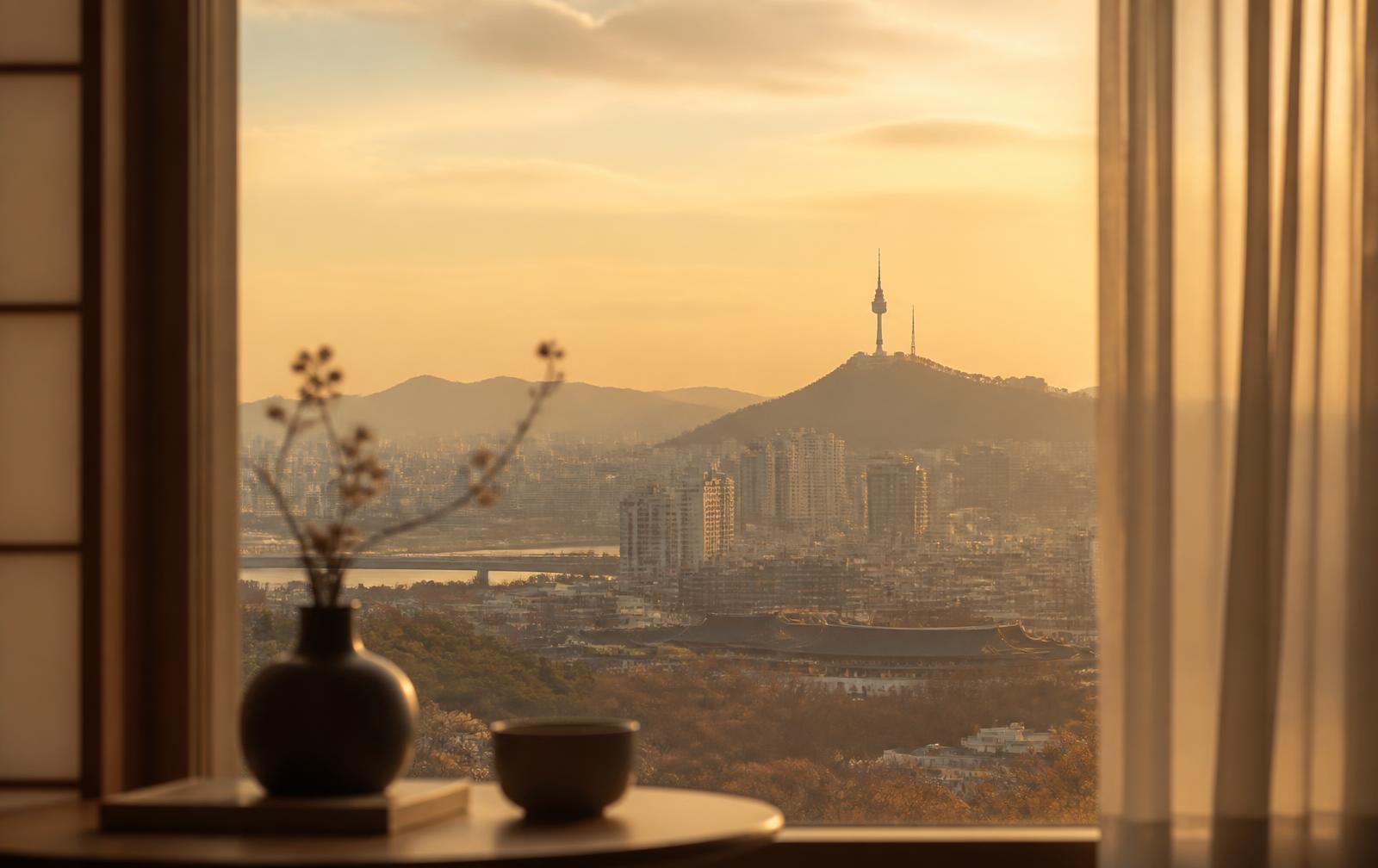 Seoul skyline during a private beauty journey